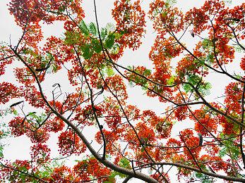 玩家特别好评 《重塑火星》正式版今日登陆Steam